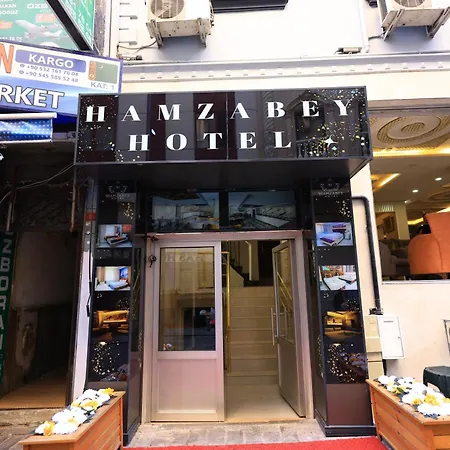 ホテル Hamzabey 3*